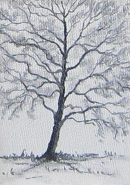 ACEO Art Card - Alder tree