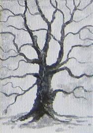 ACEO Art Card - Oak tree