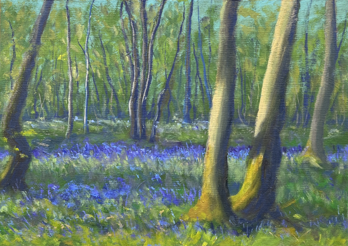 Hayley Wood Bluebells painting