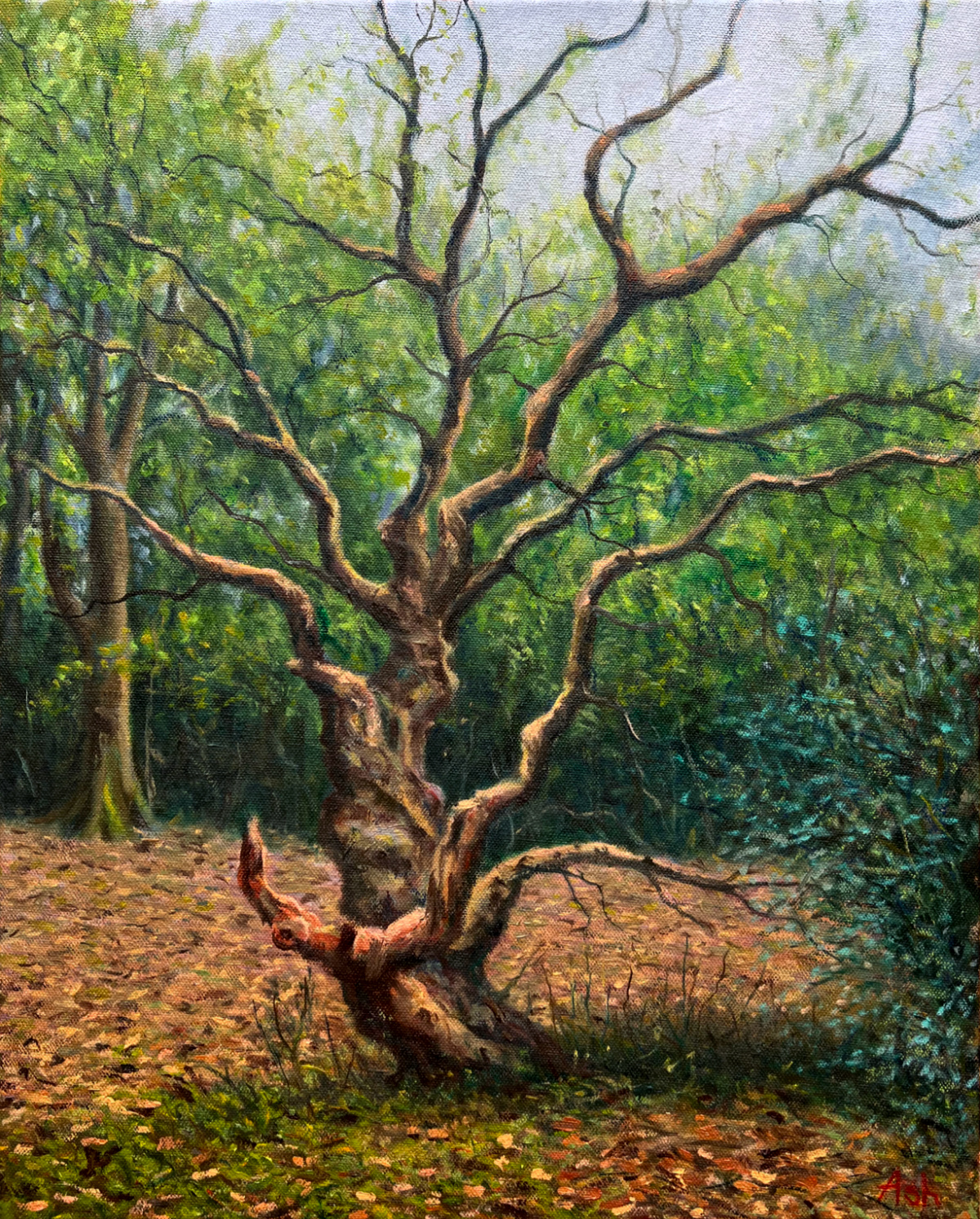 Old tree at Pretty Corner Woodland painting